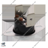 DC47-00016A--JA-Thermal Cut-Off Thermostat